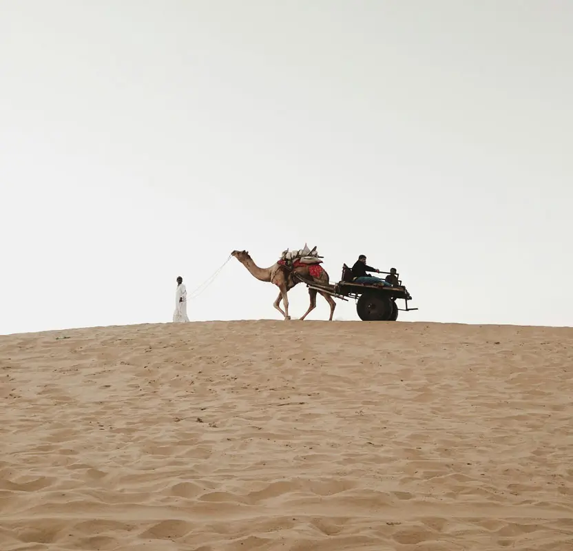 Rajasthan Tour with Female Guide for Solo Women Travelers