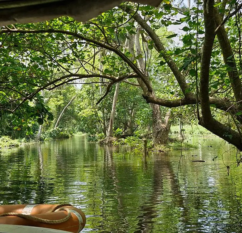 Ultimate Luxury India Tour with Palaces, Tigers, Sacred Varanasi & Kerala Backwaters