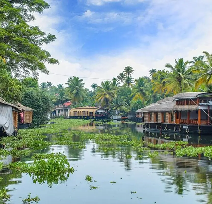 Tamil Nadu to Kerala: Temples, Tea & Backwaters