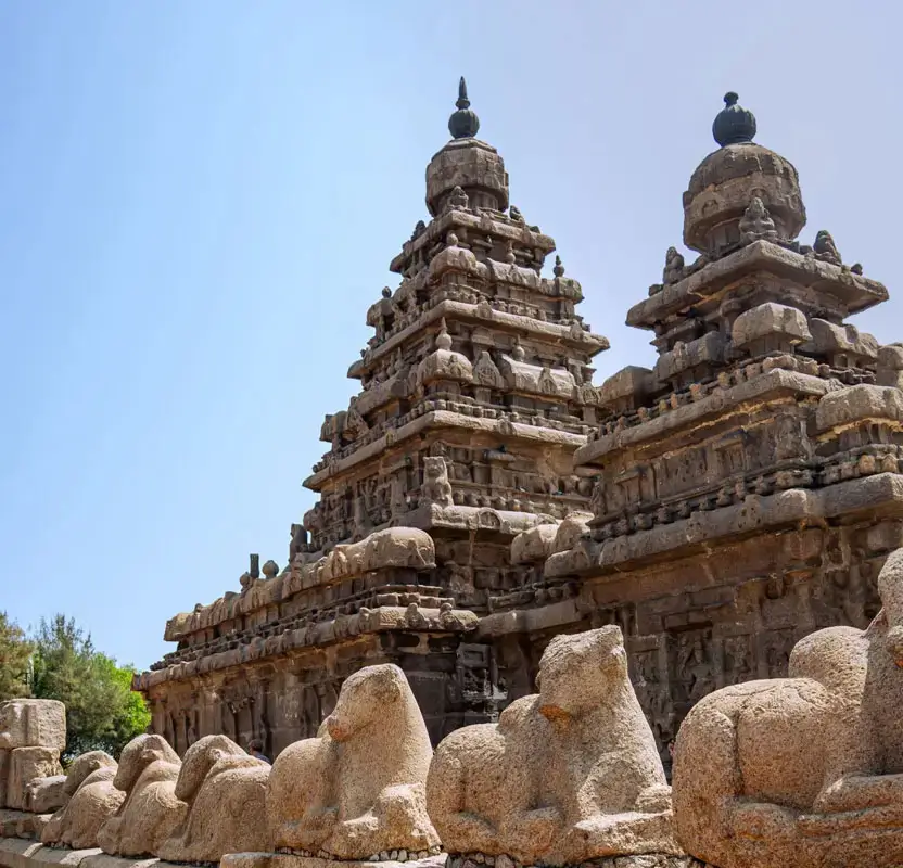 Sacred South for Women: Temples, Textiles & Tiffin