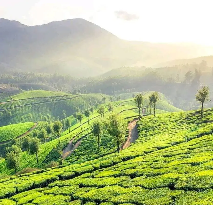 Golden Triangle Tour with Ooty & Coonoor