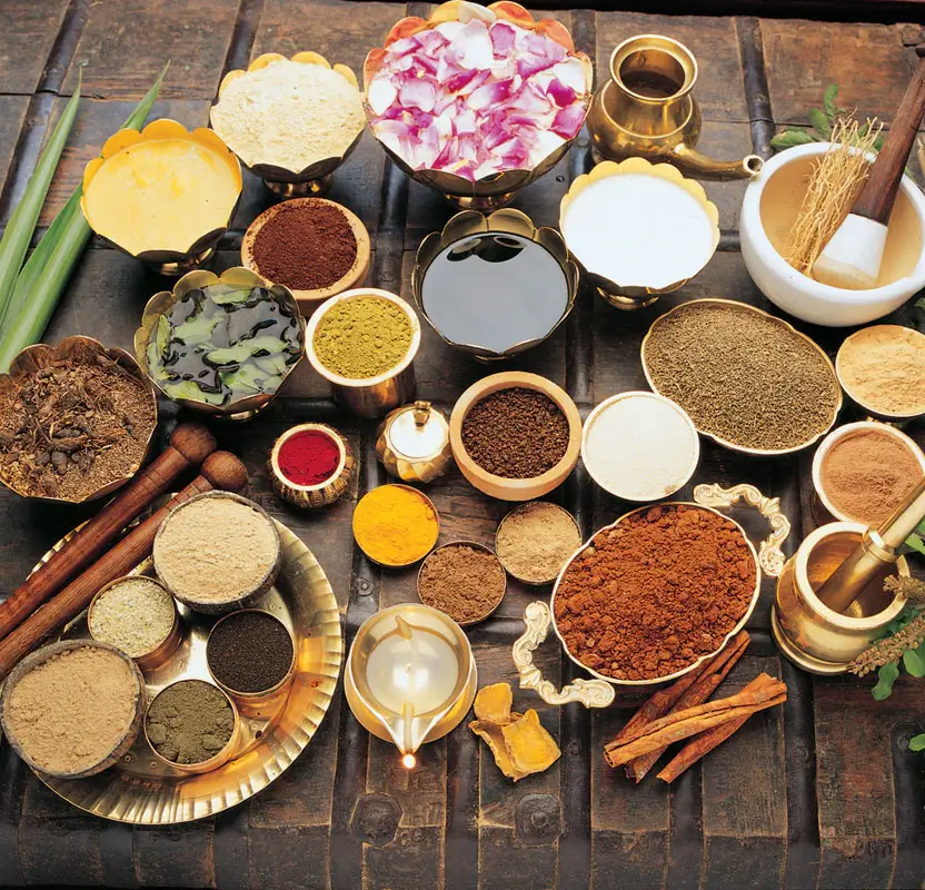 Kerala Ayurveda & Wellness Retreat