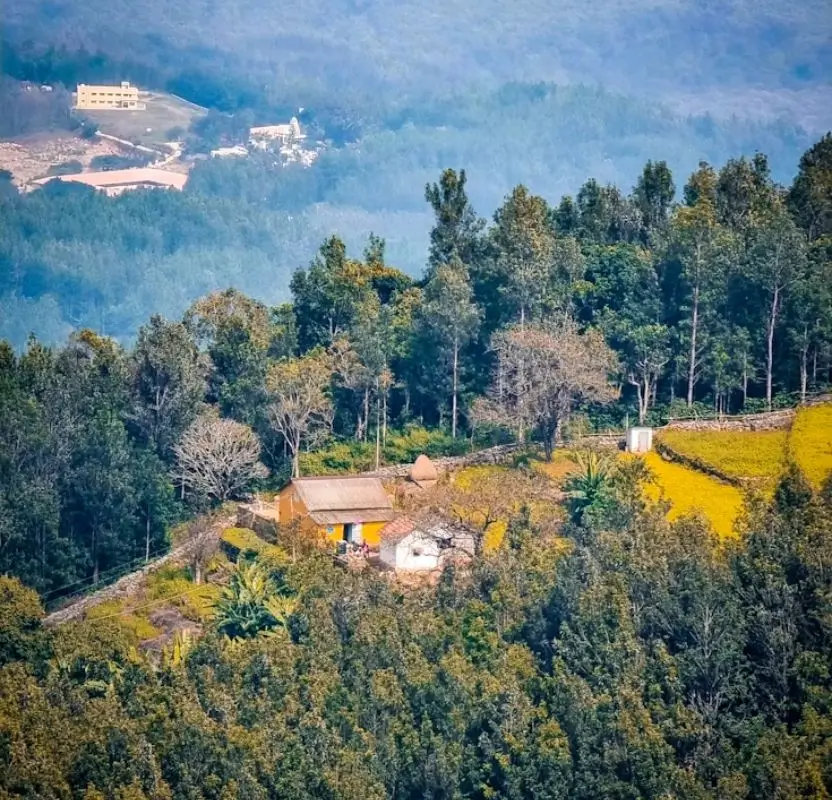 Luxury Tamil Nadu Hill Stations Tour | 10 Days Private Holiday