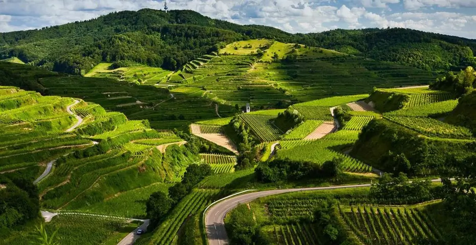 Coorg