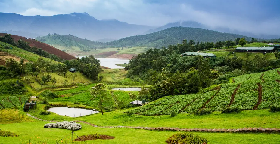 Coorg-Coffee-Hills