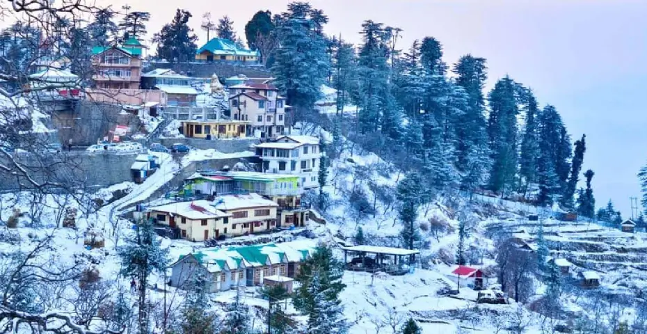 Himalayan-honeymoon
