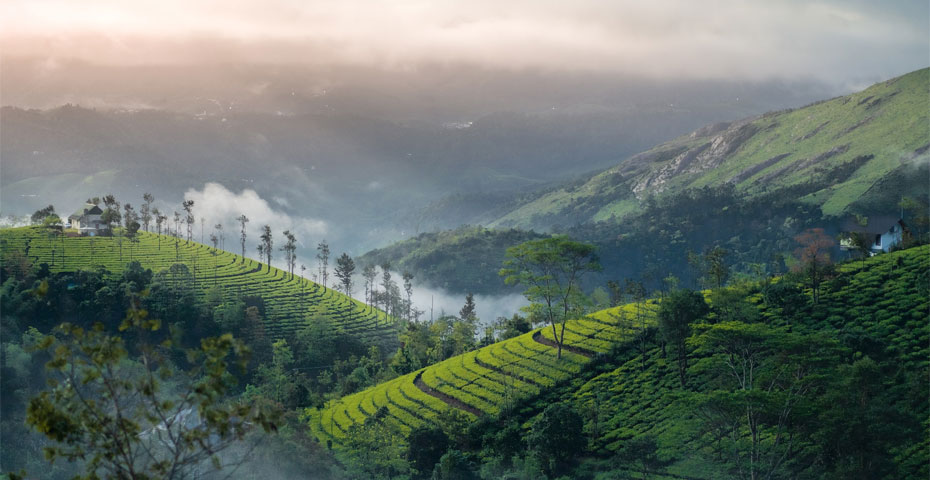Kerala and the South