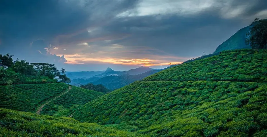 Munnar-Kerala