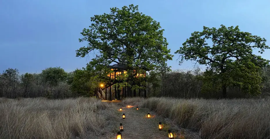 Pench-Tree-Lodge-Pench