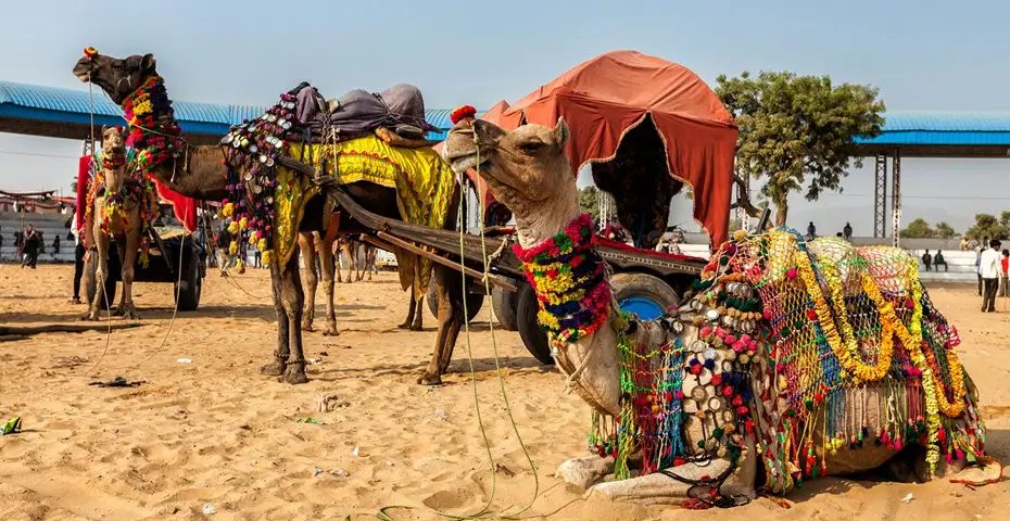 Pushkar