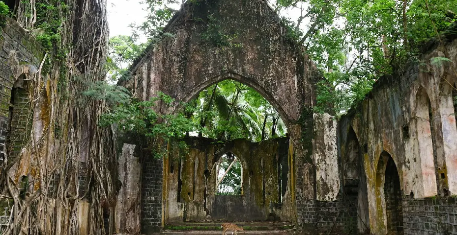 Ross-Island-Andaman-Islands