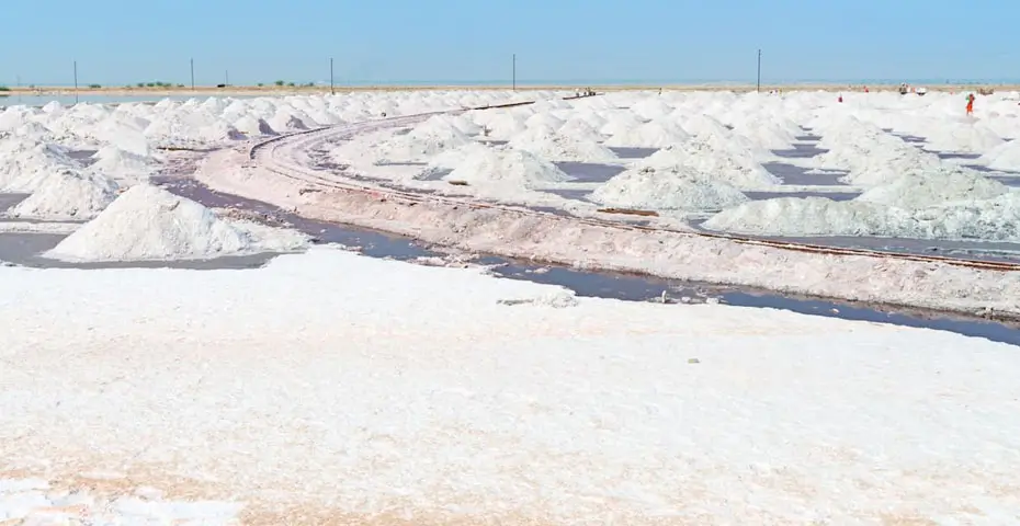Sambhar-Salt-Lake