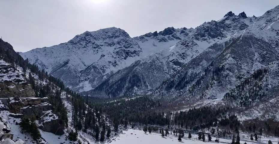 Shimla