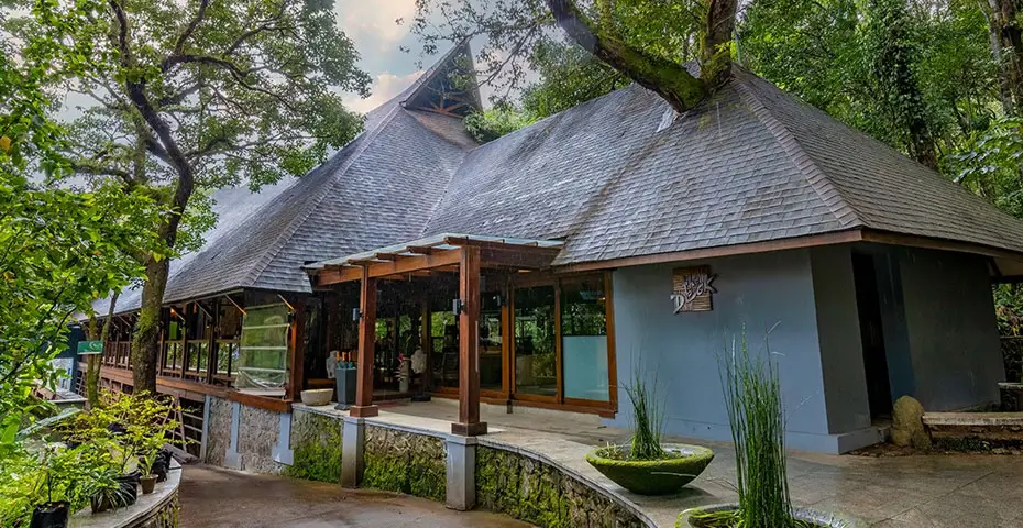 Tamara-Coorg