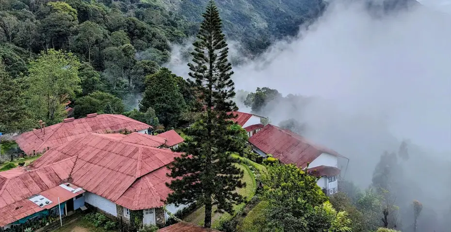 Windermere-Estate-Munnar