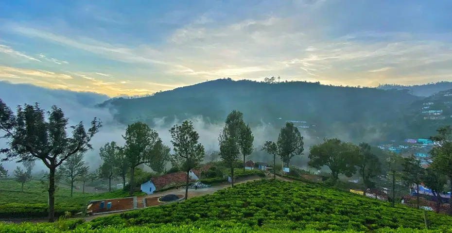 Kerala and the South